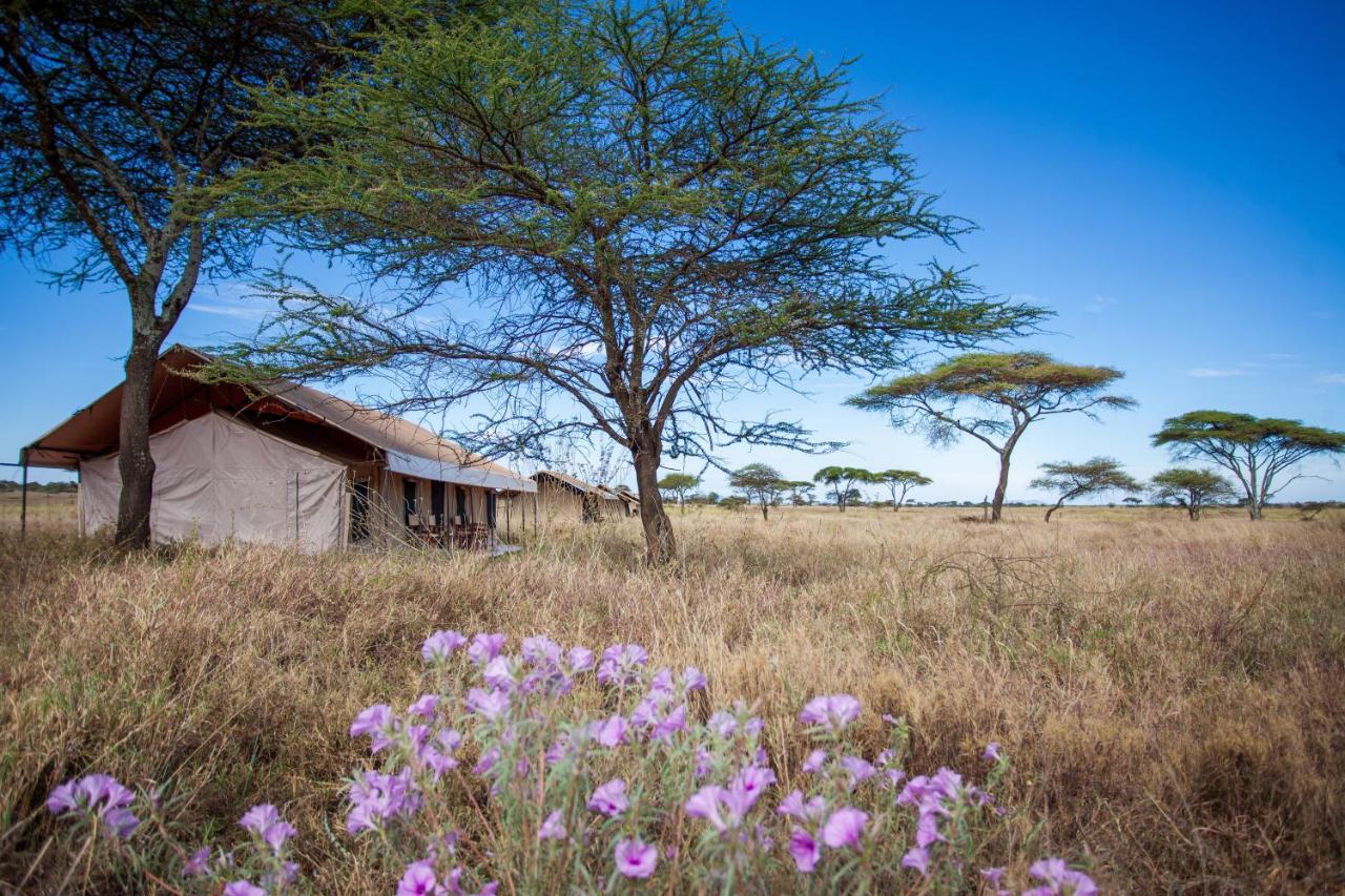 סרנגטי Mawe Tented Camp מראה חיצוני תמונה