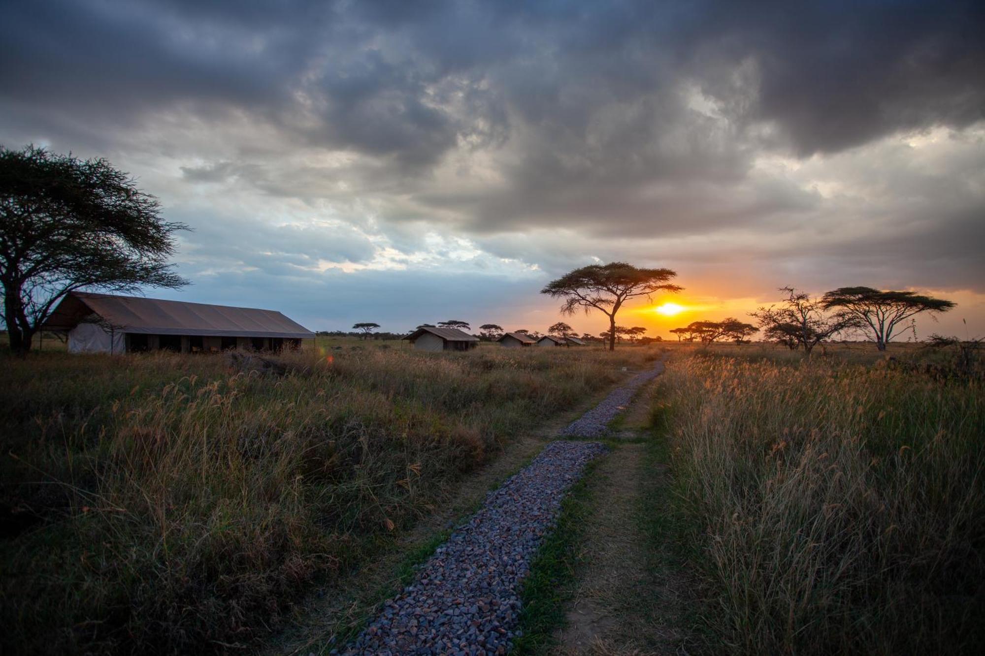 סרנגטי Mawe Tented Camp מראה חיצוני תמונה